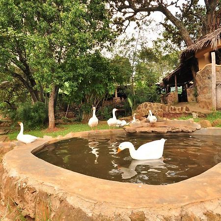 Naiberi River Campsite & Resort 埃尔多雷特 外观 照片